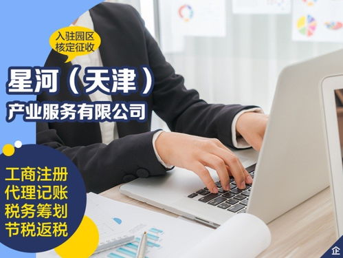 天津武清區(qū)優(yōu)質(zhì)代理記賬公司與軟件開(kāi)發(fā)服務(wù)推薦